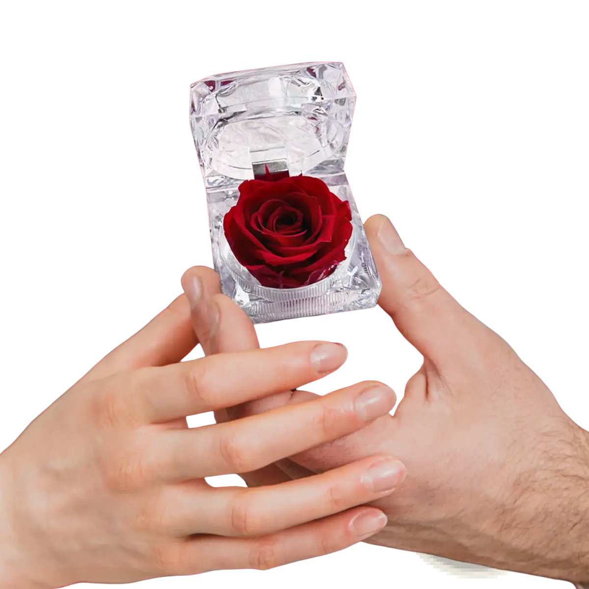 A clear faceted crystal ring box holding a single deep red preserved rose in a preserved rose crystal gift box