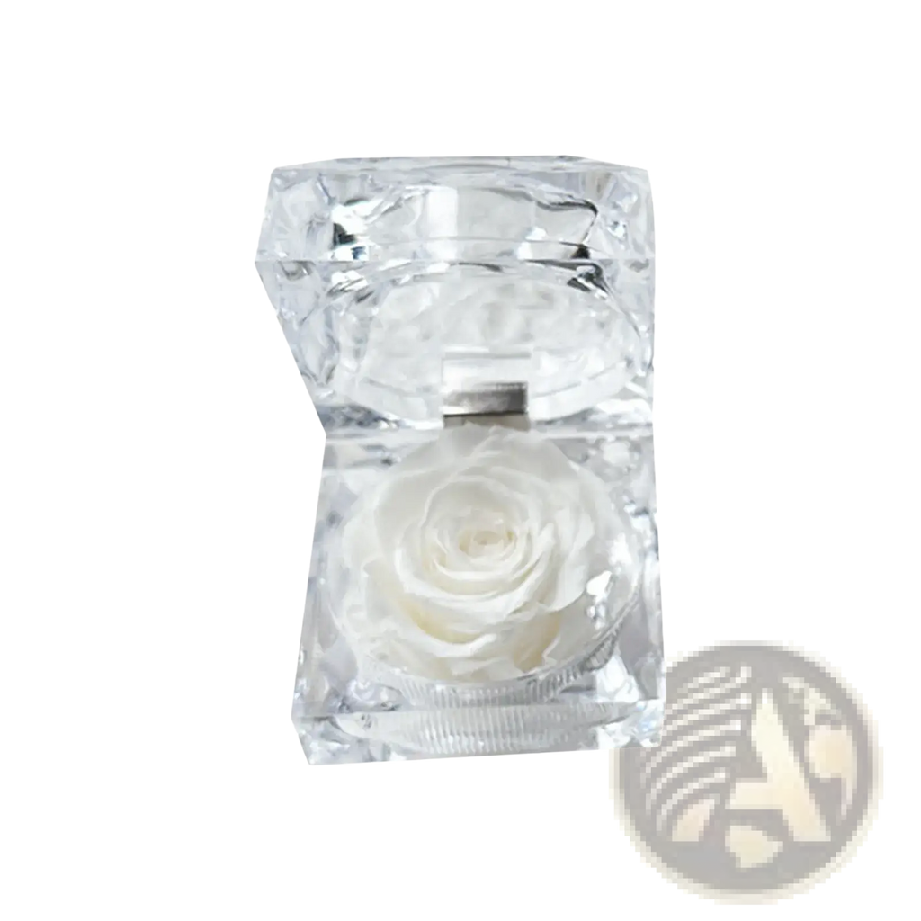 A delicate white preserved rose displayed inside a transparent faceted crystal gift box eternal flower design