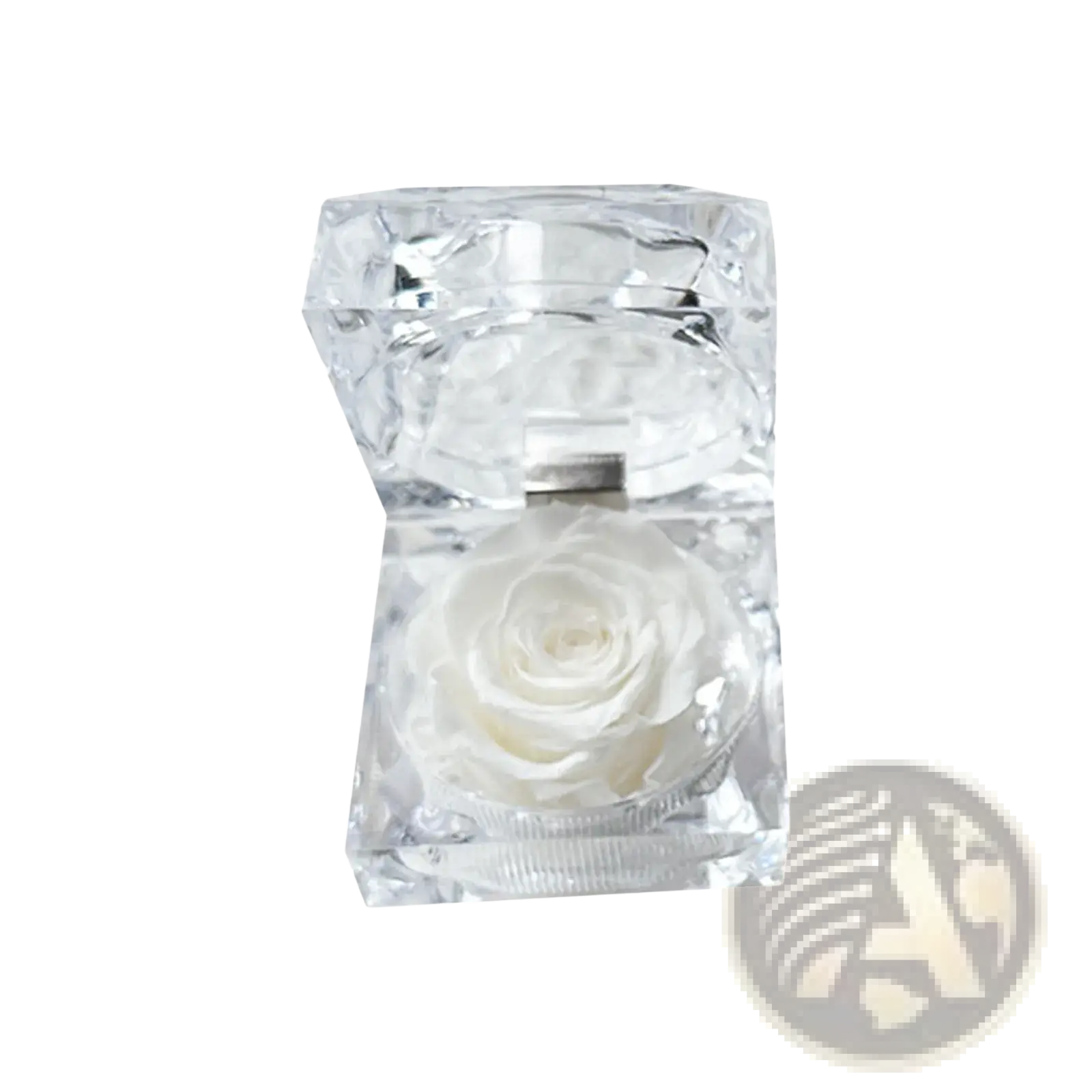 A delicate white preserved rose displayed inside a transparent faceted crystal gift box eternal flower design