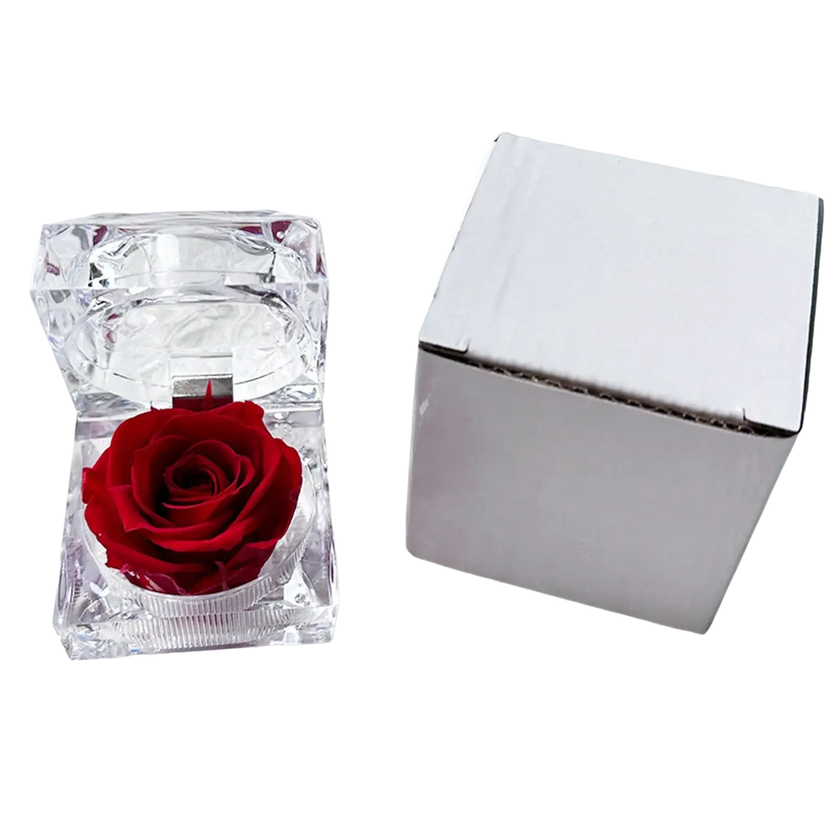 A vibrant red preserved rose inside a clear faceted crystal gift box in the preserved rose crystal gift box eternal flower