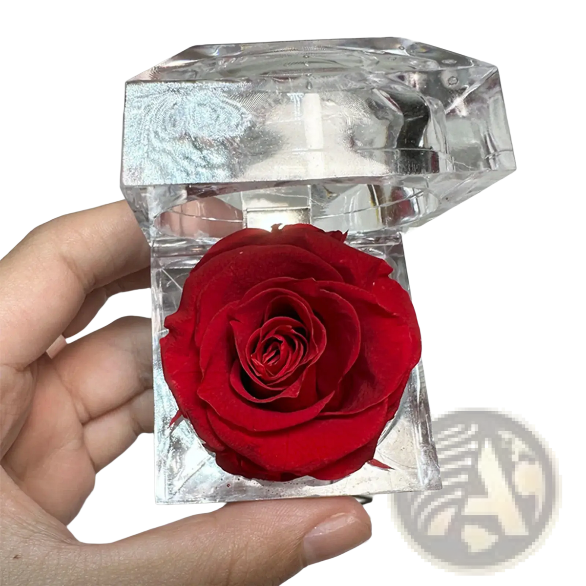 A vibrant red preserved rose encased in a faceted crystal gift box with an ornate silver-foiled lid