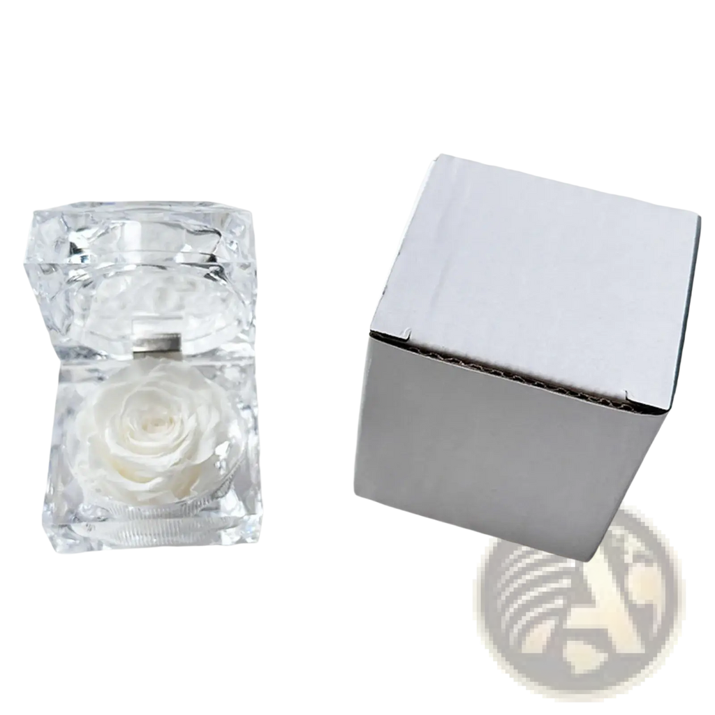 A clear faceted crystal gift box containing a preserved white rose for an eternal flower display