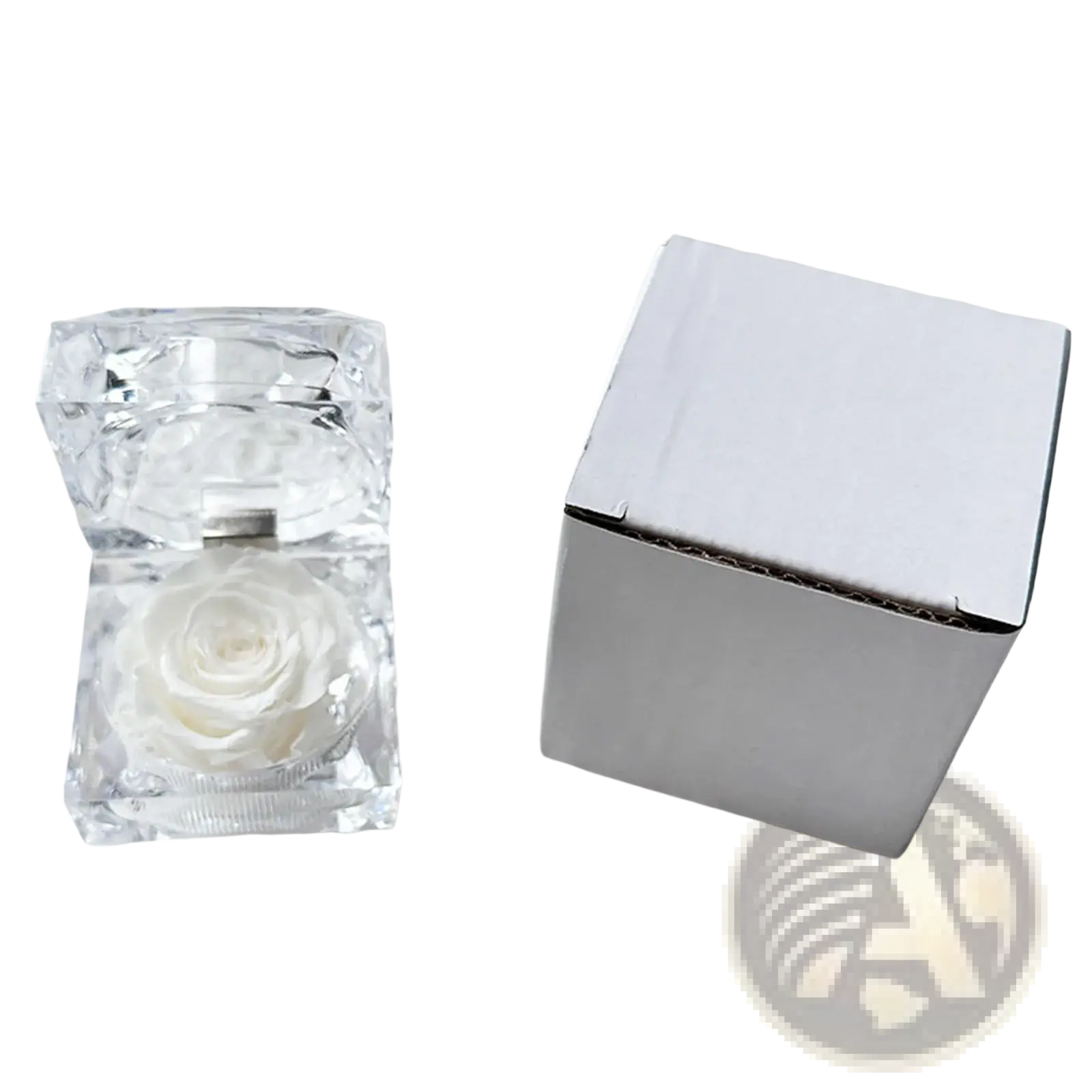 A clear faceted crystal gift box containing a preserved white rose for an eternal flower display
