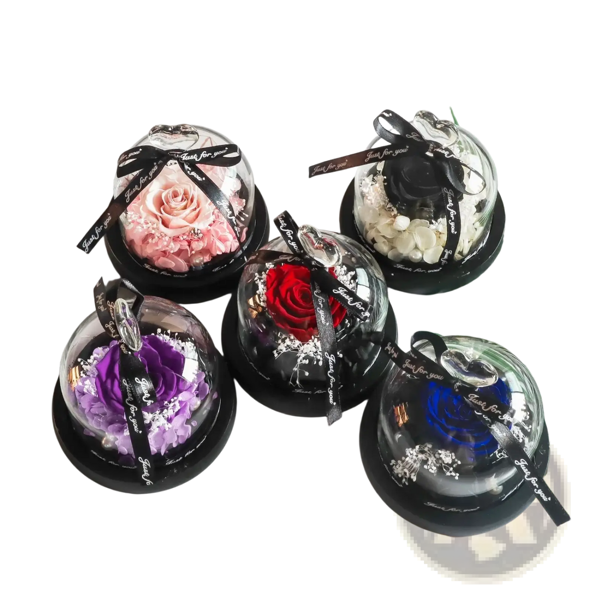 A collection of preserved rose led glass dome gifts featuring vibrant pink red purple and blue flowers with black ribbons