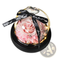 A delicate pink preserved rose with white flowers inside a clear glass dome with black ribbon in preserved rose led glass dome gift