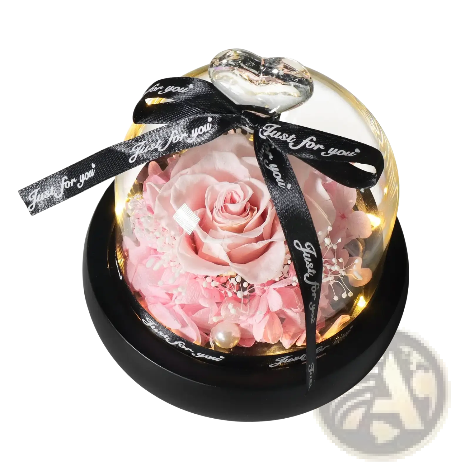 A delicate pink preserved rose with white flowers inside a clear glass dome with black ribbon in preserved rose led glass dome gift