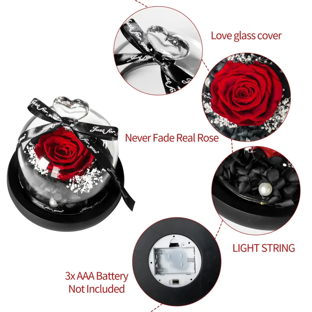 A red preserved rose encased in a clear glass dome with black ribbon and heart-shaped embellishments gift