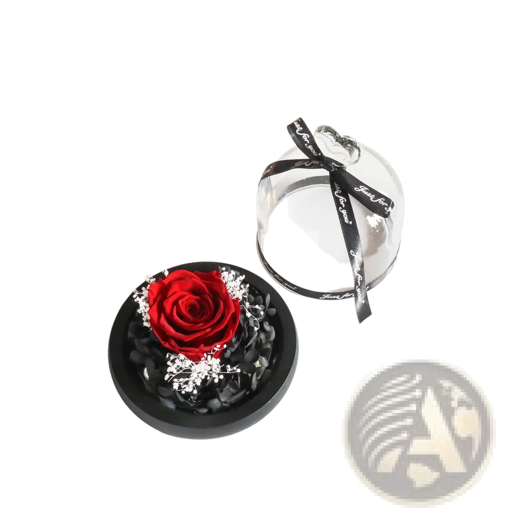 A vibrant red preserved rose with white filler flowers in a black base with dark pebbles for led glass dome gift