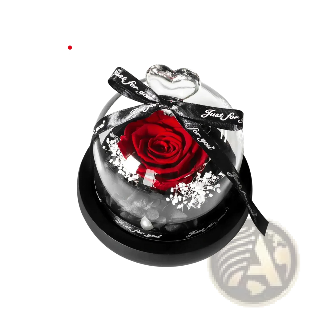 A vibrant red preserved rose in a clear glass dome with white filler flowers tied with a black just for you ribbon