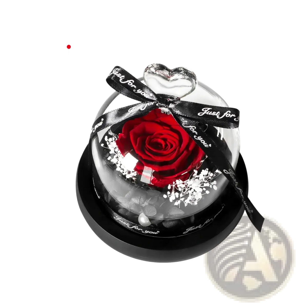 A vibrant red preserved rose in a clear glass dome with white filler flowers tied with a black just for you ribbon