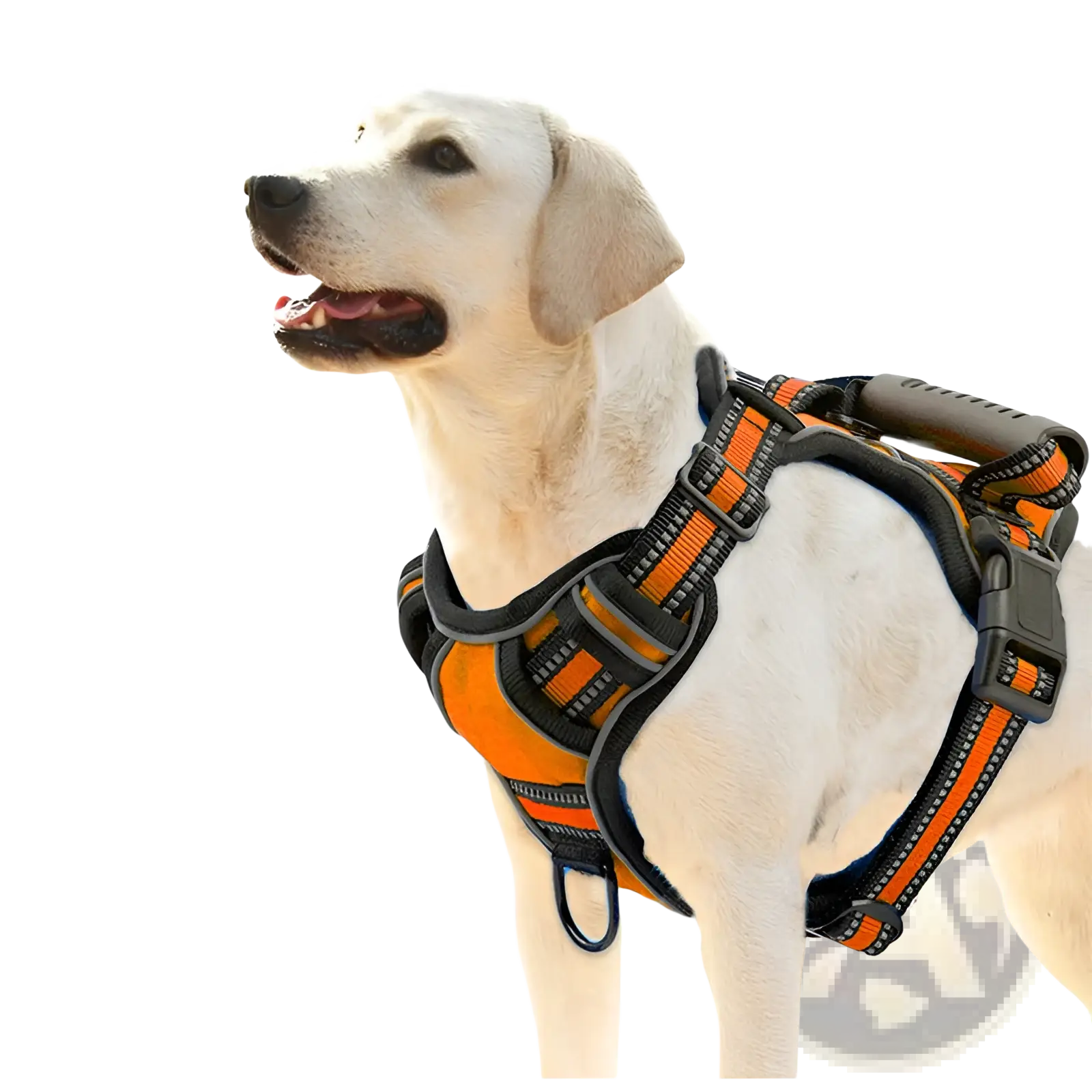 Orange and black no pull reflective dog harness vest with adjustable straps and padded handle shown from the back side