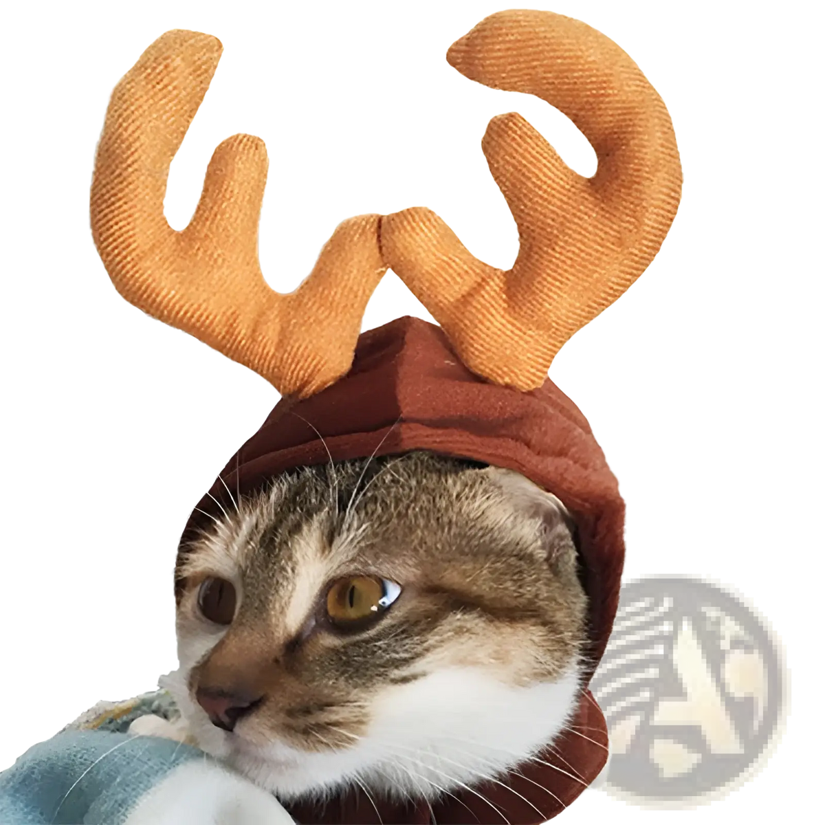 Brown plush reindeer antler hat with soft textured fabric for warm pumpkin cat hat pet costume headwear