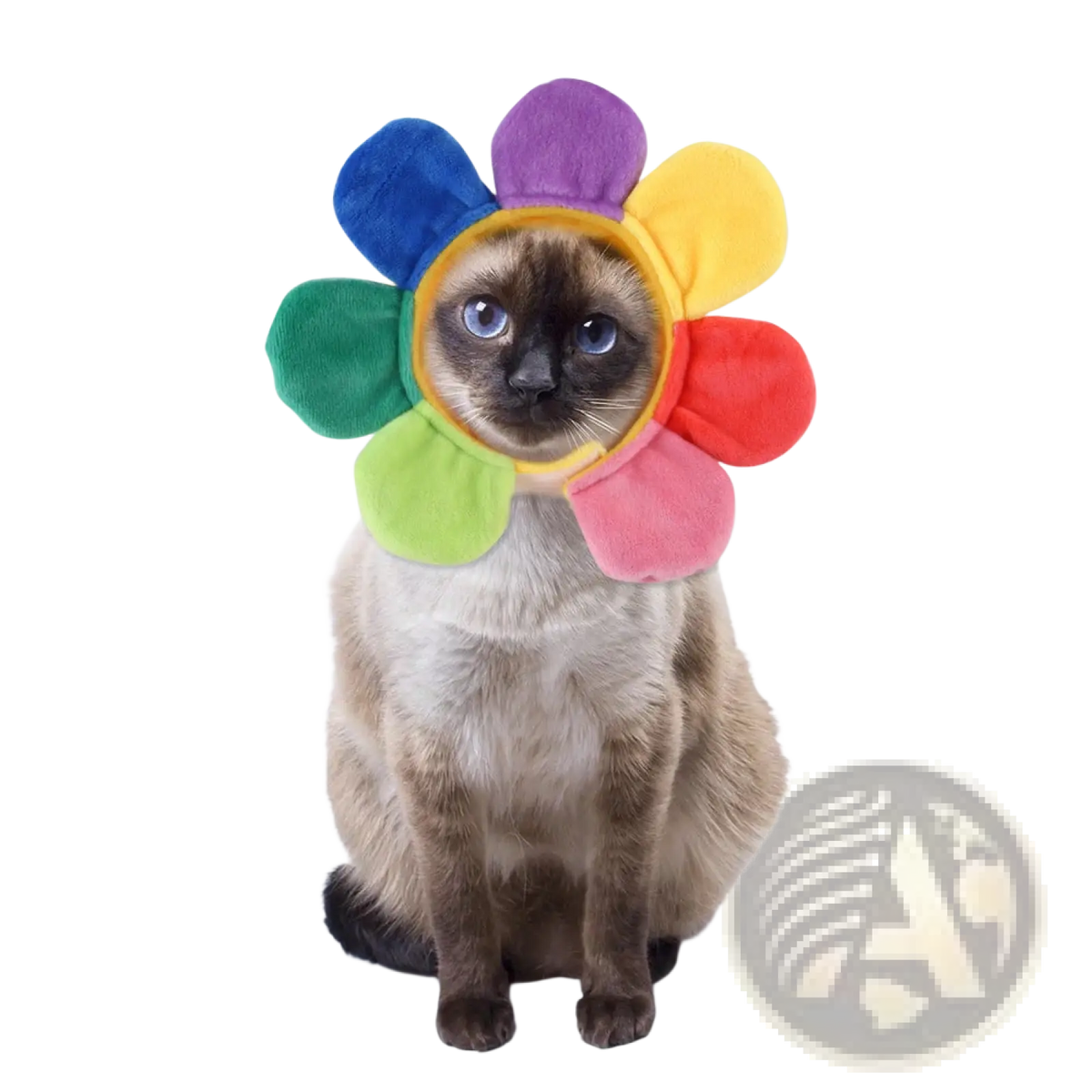 A plush rainbow-colored flower pet headband with soft fabric petals for warm pet costume headwear