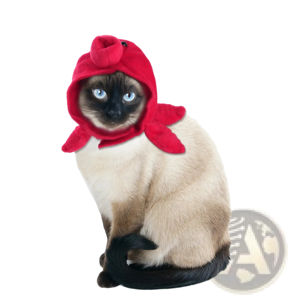 Red plush lobster-themed hooded costume for cats keeps pets warm as a pumpkin cat hat warm pet headwear