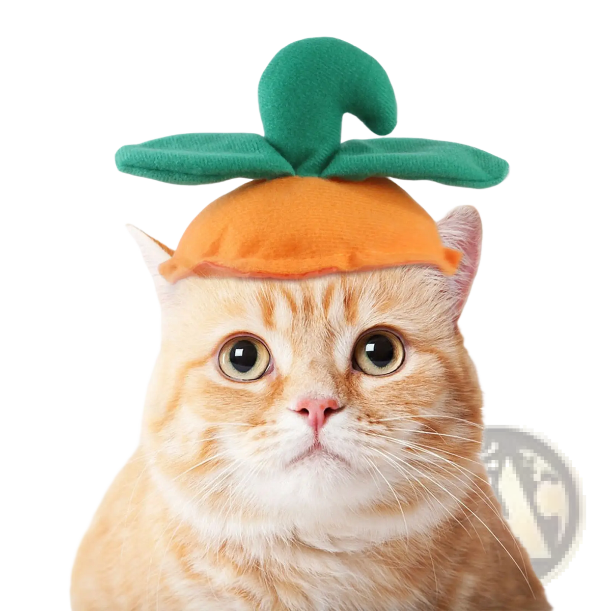 Orange plush carrot hat with green leafy top designed as a warm pumpkin cat hat costume headwear accessory