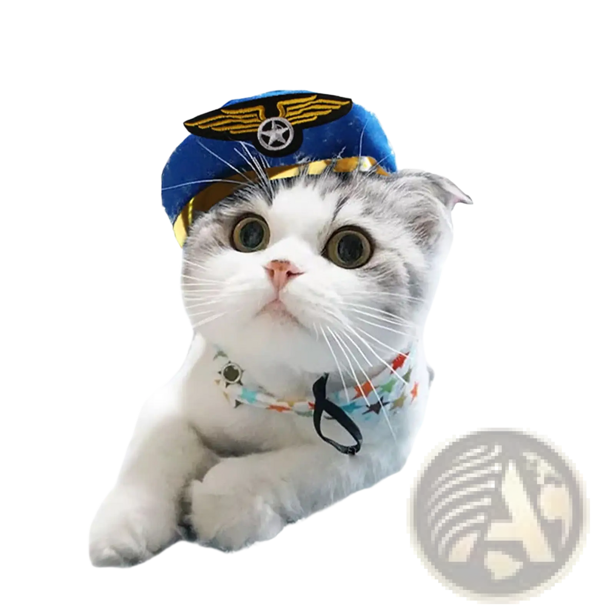 Blue pilot hat with gold wings and star emblem designed as warm pet costume headwear for pumpkin cat hat product