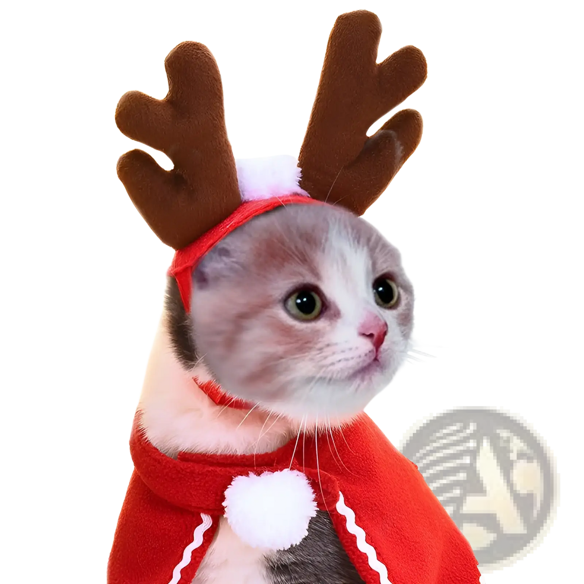 Red plush reindeer costume with brown antlers and white pom-pom accents for warm pet headwear pumpkin cat hat