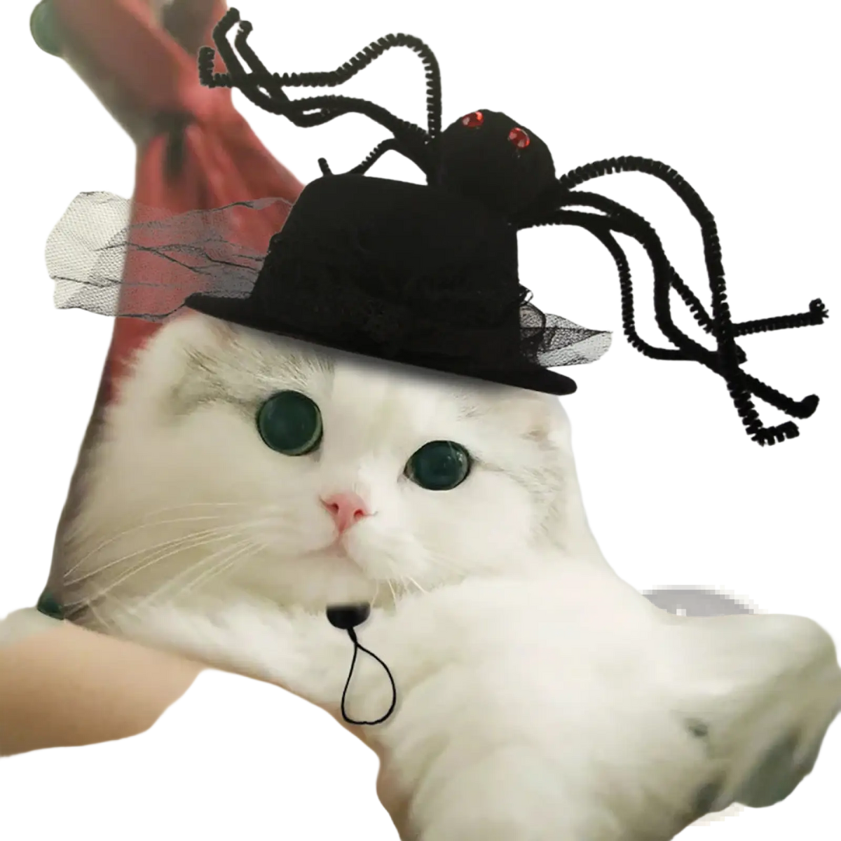 Black spider-themed pumpkin cat hat with red eyes and sheer black netting trim for warm pet costume headwear