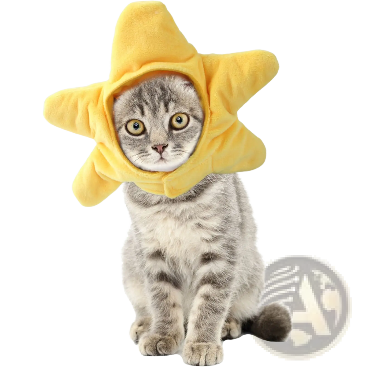 Yellow star-shaped plush cat hat from the pumpkin cat hat warm pet costume headwear collection