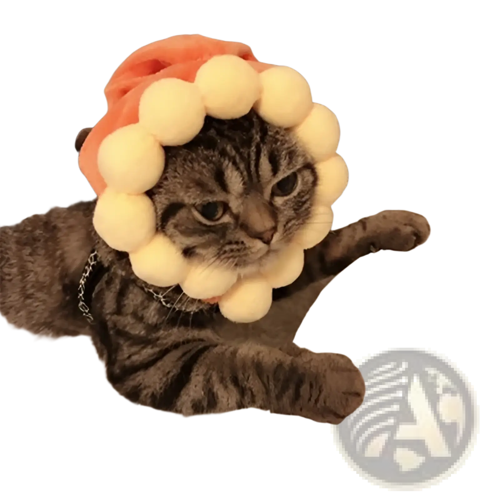 A tabby cat wearing a warm pumpkin cat hat with orange and cream pom pom headband for festive pet costume