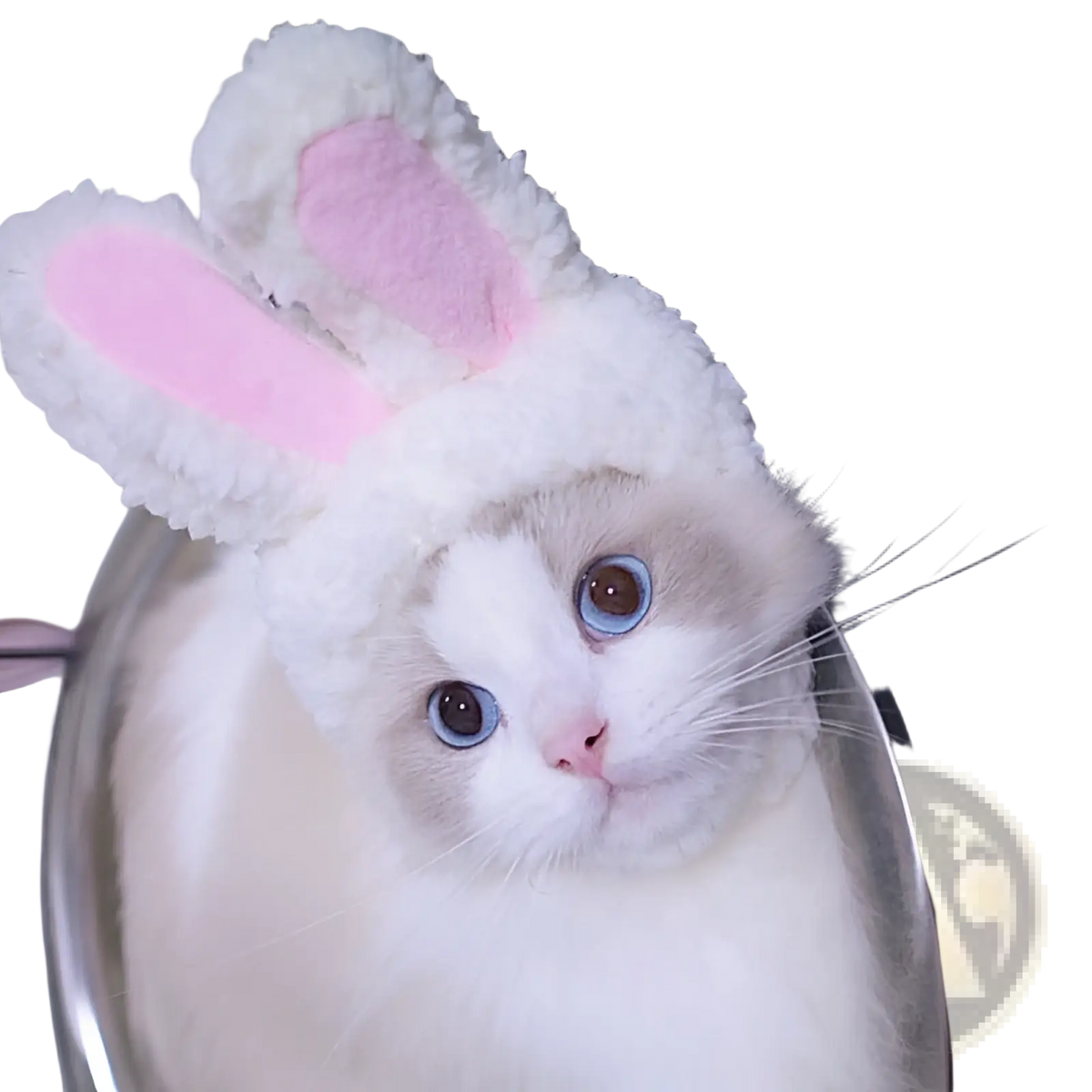 Fluffy white bunny hat with pink inner ear linings for pumpkin cat hat warm pet costume headwear