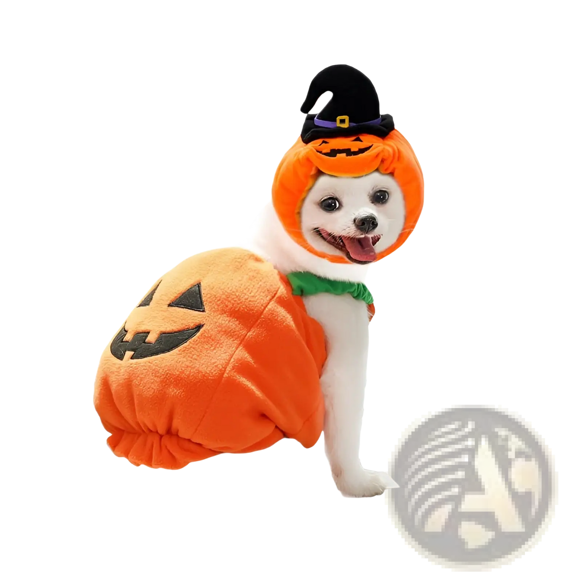 Orange plush pumpkin dog costume with black embroidered jack-o-lantern face and matching witch hat for halloween pet apparel