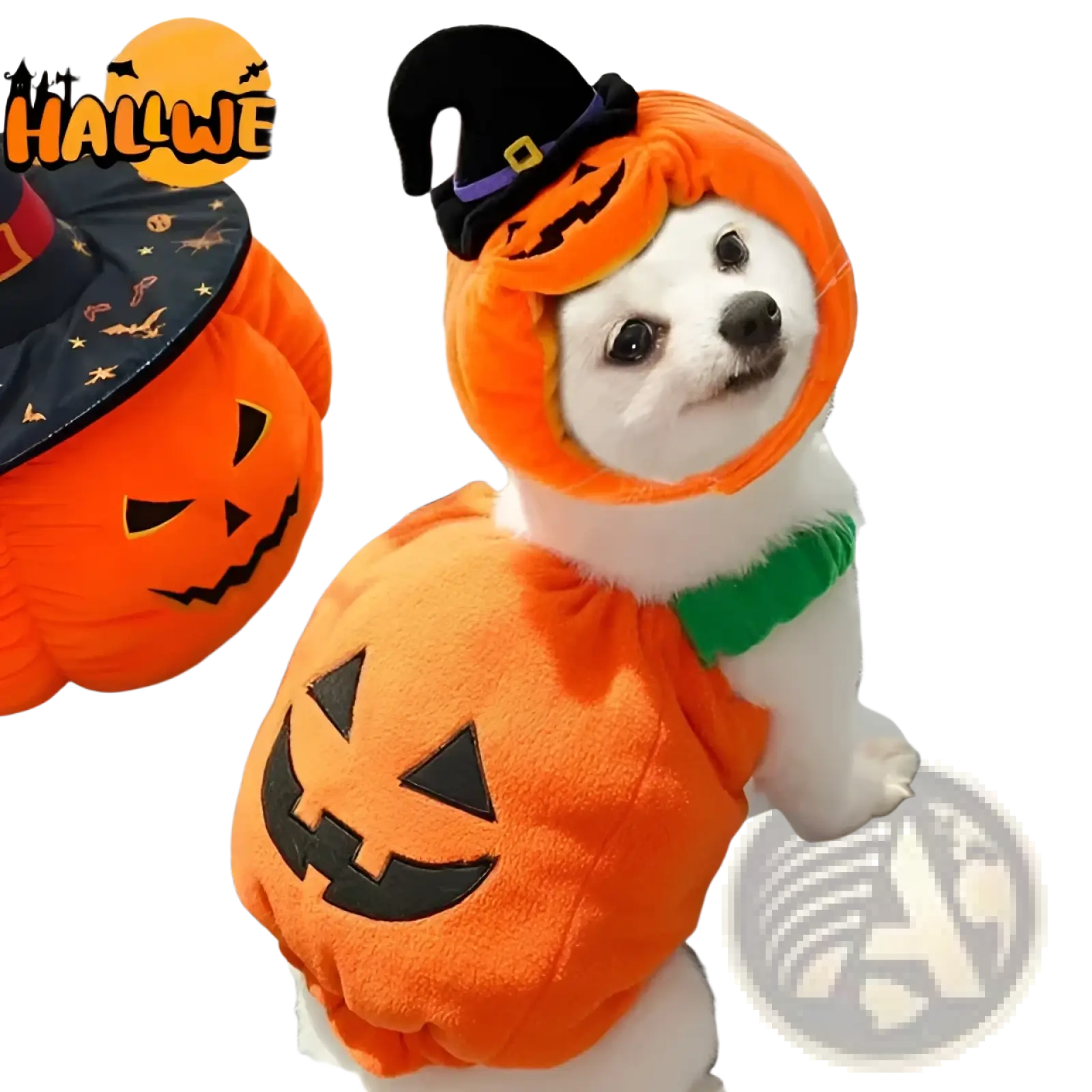 Orange plush pumpkin dog costume with black embroidered face and matching witch hat for Halloween pet apparel