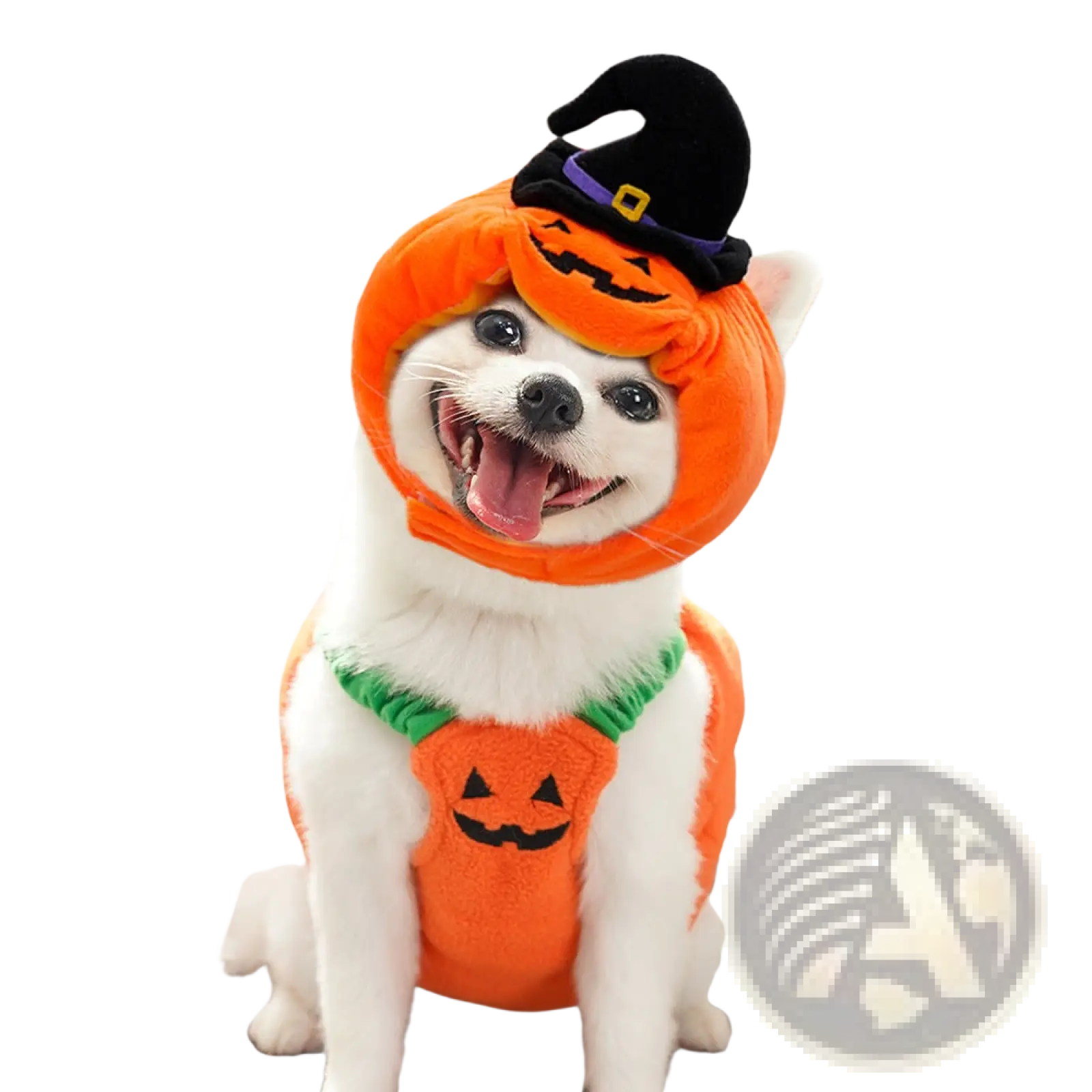 Orange plush pumpkin dog costume with black witch hat and green trim for Halloween pet apparel