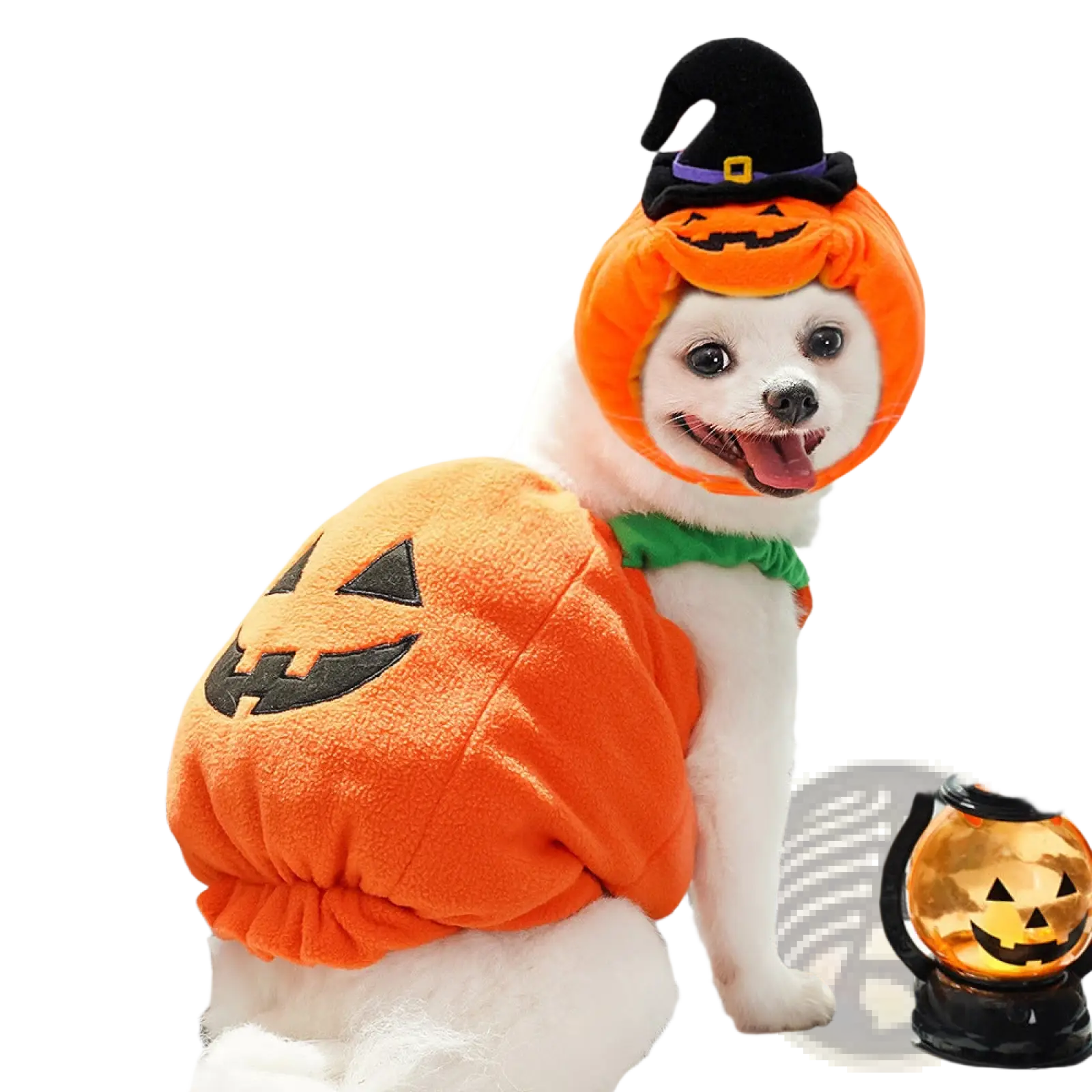 Pumpkin dog costume featuring orange plush fabric with black embroidered face green collar and black witch hat for Halloween