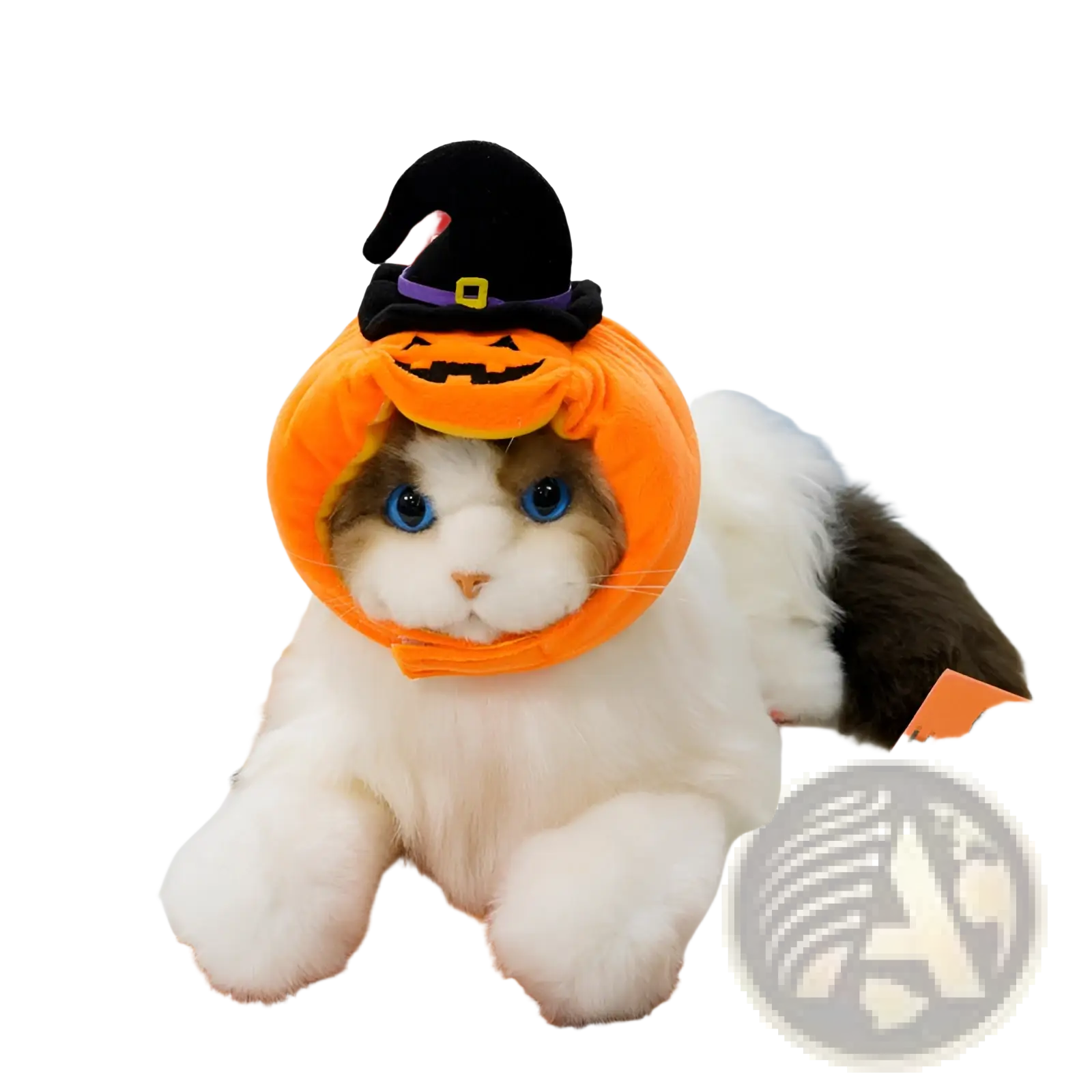 Orange plush pumpkin dog costume hat with black witch hat topper for Halloween pet apparel use