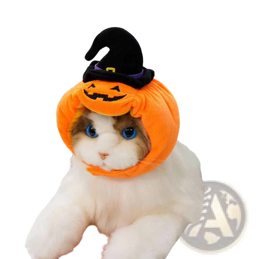 Orange plush pumpkin dog costume with black witch hat for halloween pet apparel and festive dress-up