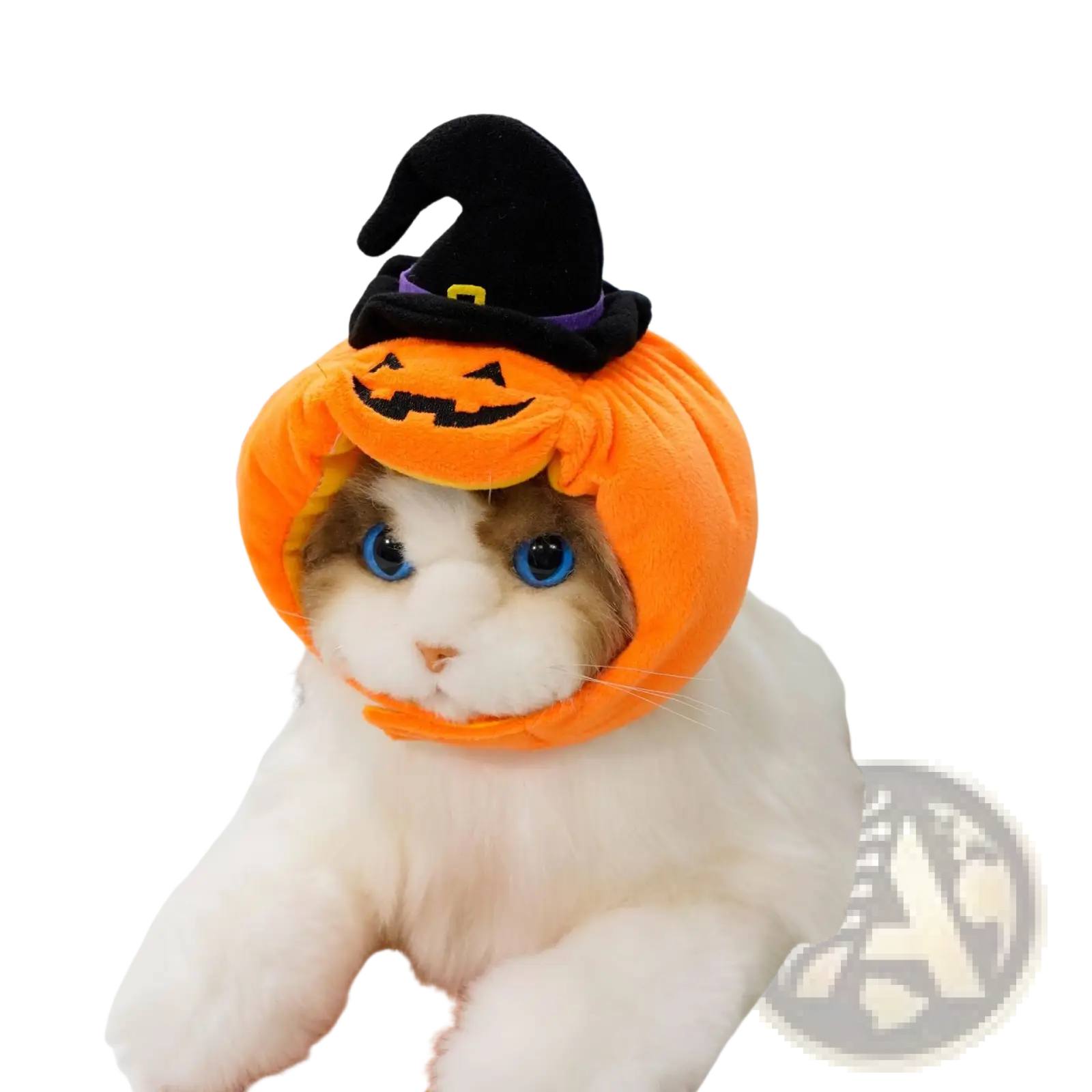 Orange plush pumpkin dog costume with black witch hat for halloween pet apparel and festive dress-up