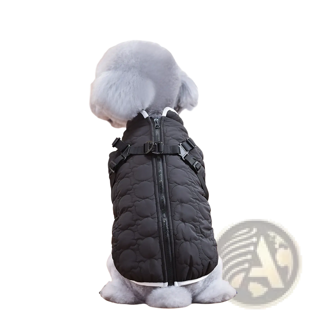 Black quilted dog vest with white trim and adjustable black straps designed for windproof warmth and comfort