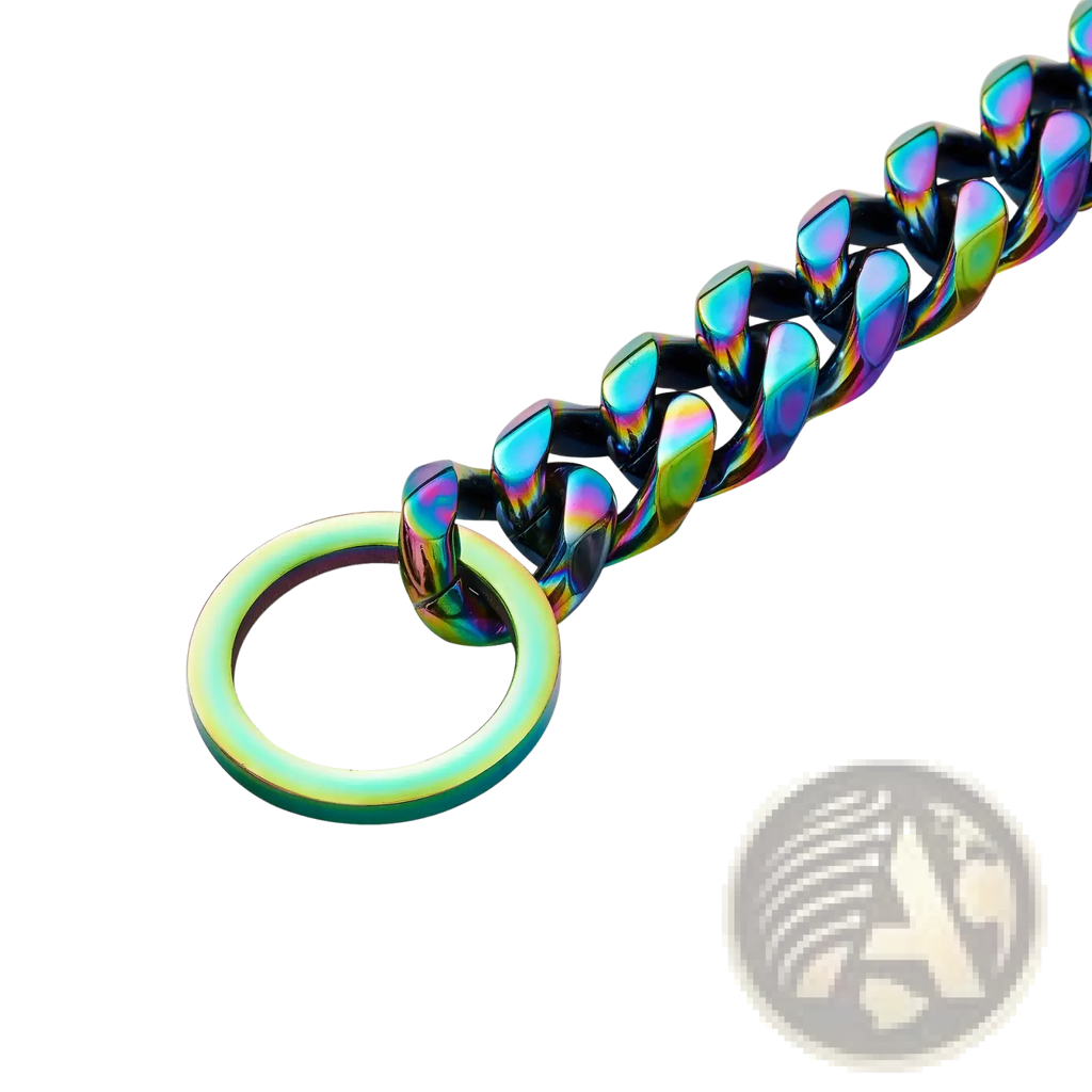 Rainbow stainless steel dog chain collar featuring a rainbow-finished stainless steel chain with a matching circular ring