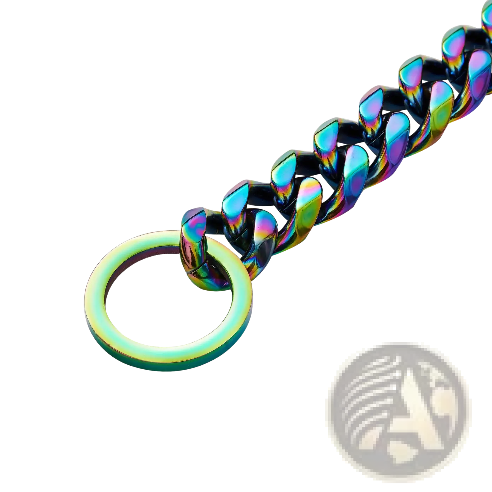 Rainbow stainless steel dog chain collar featuring a rainbow-finished stainless steel chain with a matching circular ring