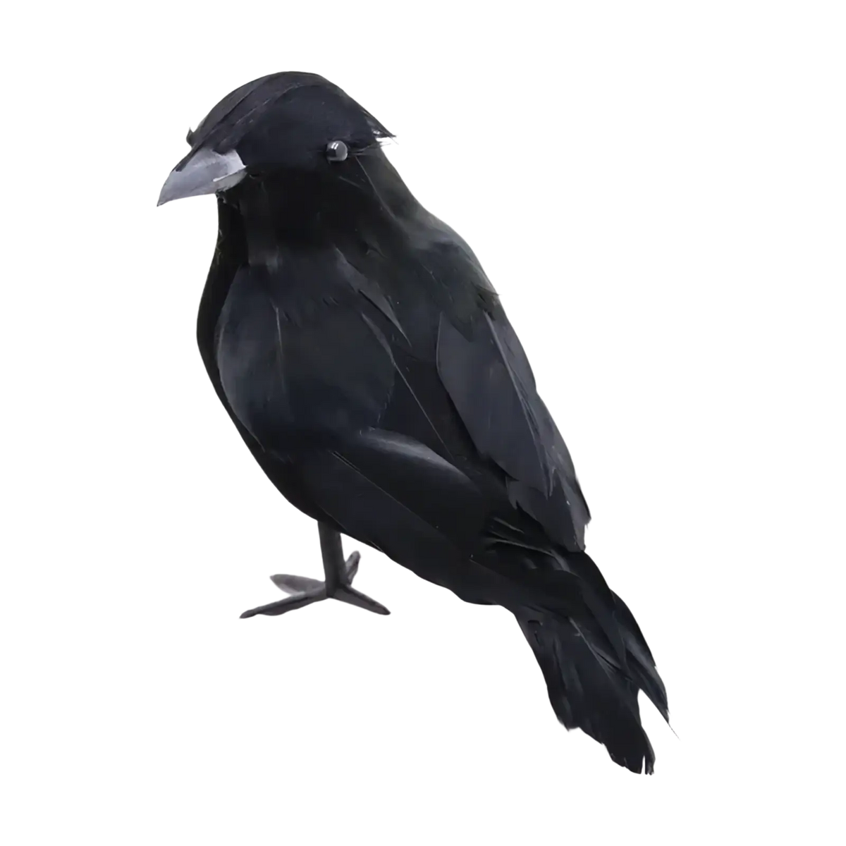 Realistic halloween black crow decoration figurine with glossy black feathers and metallic beak for spooky decor