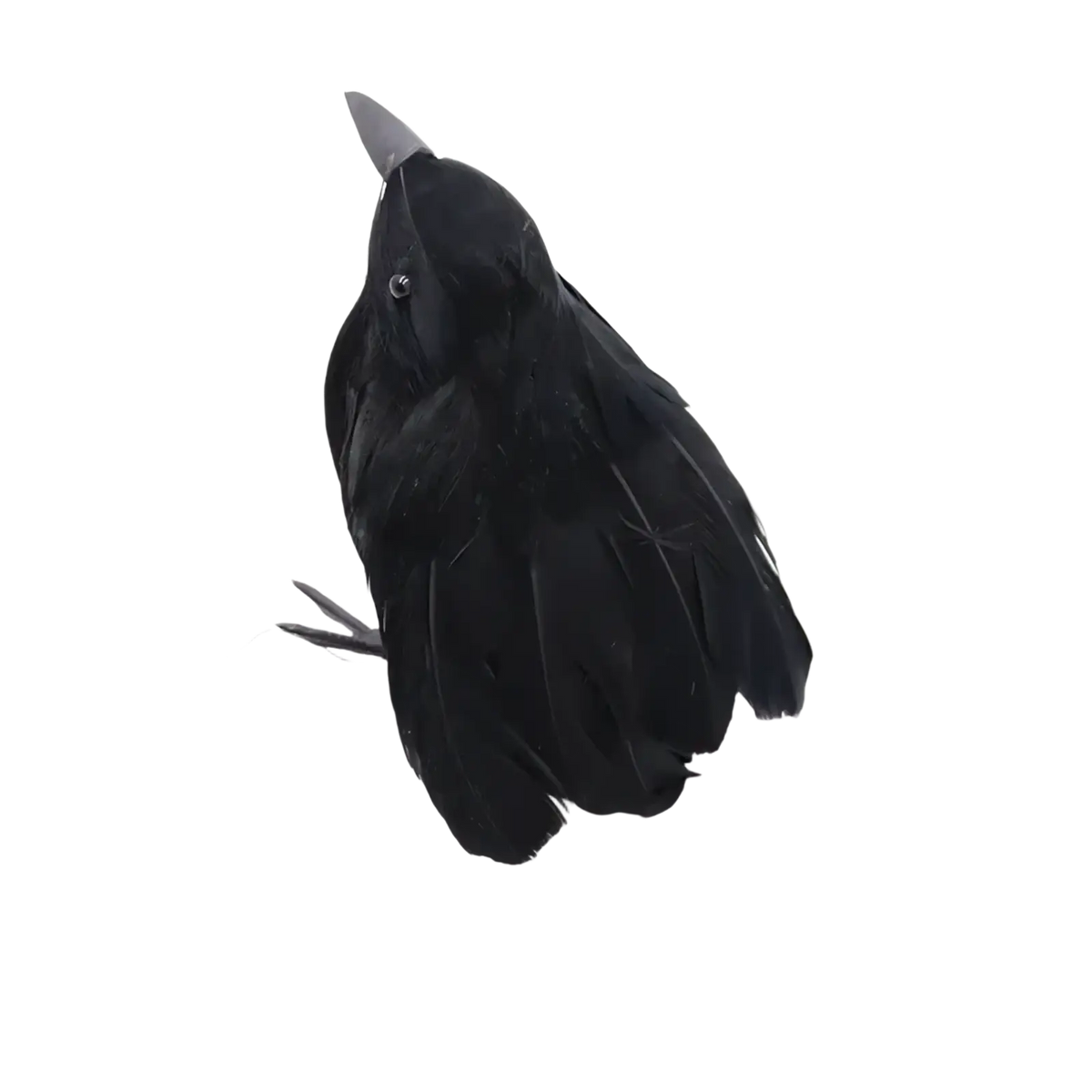 Realistic halloween black crow decoration featuring a black feathered figurine with a metallic beak and eye