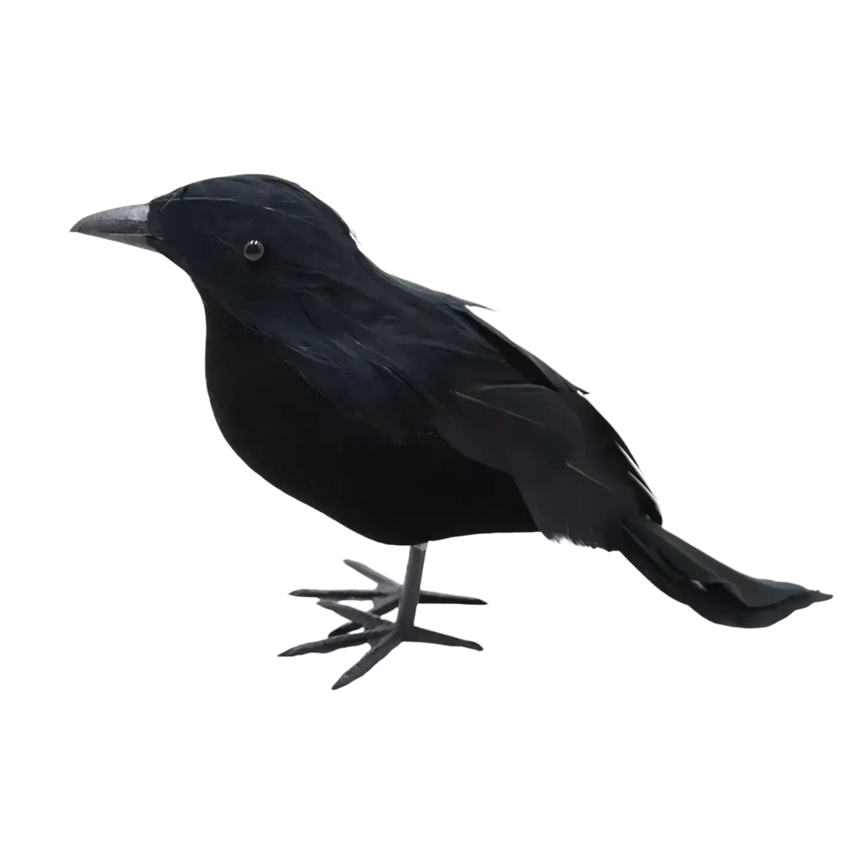 Realistic Halloween black crow decoration figurine with black feathers and detailed eye and beak features