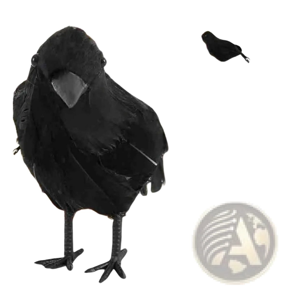 Realistic Halloween black crow decoration with black feathers, textured matte finish, and detailed feet