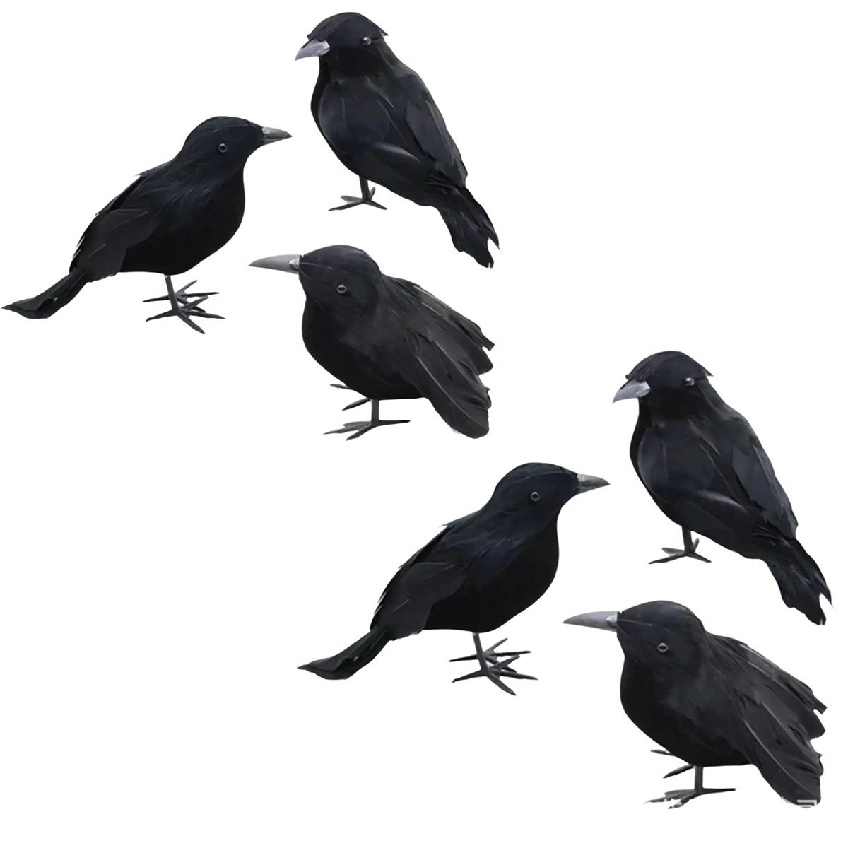 Realistic halloween black crow decoration featuring glossy black plastic feathers and gray plastic beaks for spooky decor