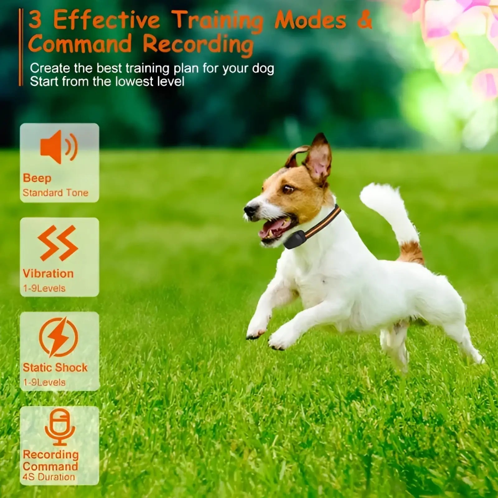 Black rechargeable dog training collar with adjustable strap and built-in remote device for effective training