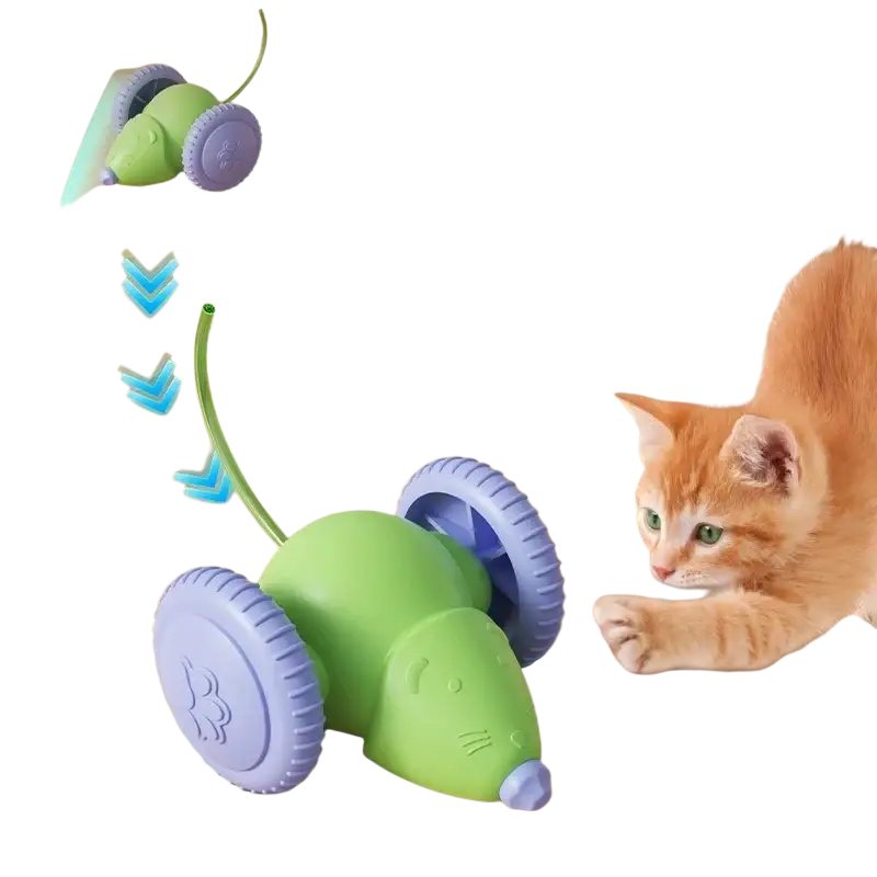 Rechargeable electric mouse toy for cats in green and purple with wheels is a popular animal toys type