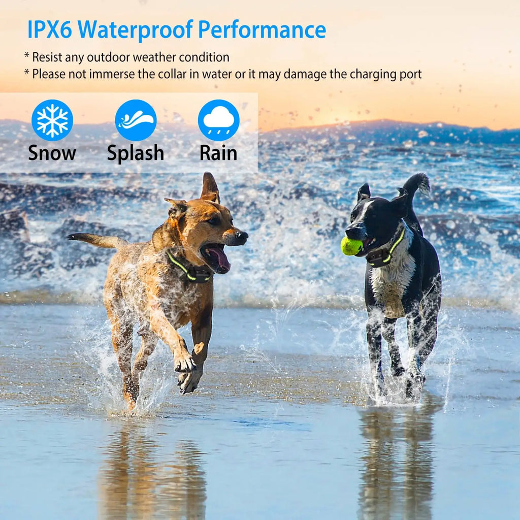 Green and black waterproof rechargeable smart dog bark collar with ipx6 rating for outdoor weather resistance