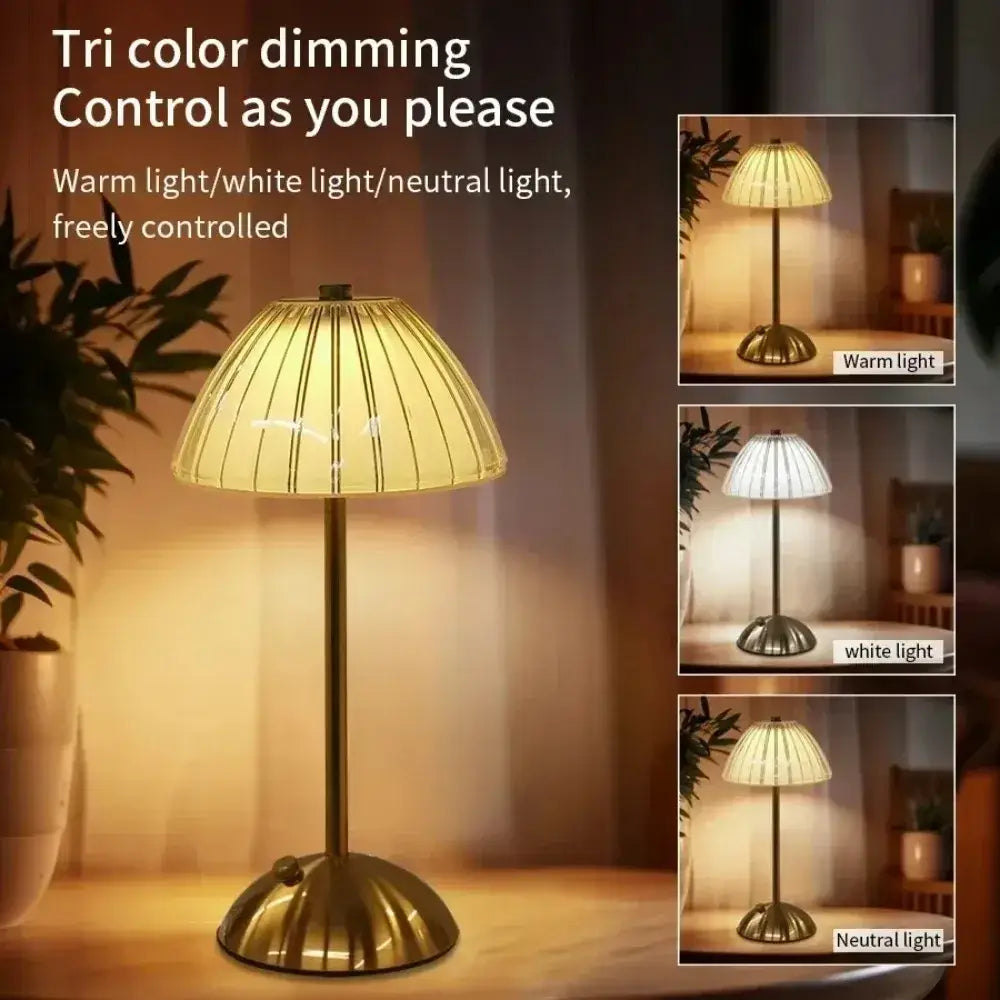 Rechargeable table lamp with brass finish and pleated translucent glass shade featuring tri-color dimming light source