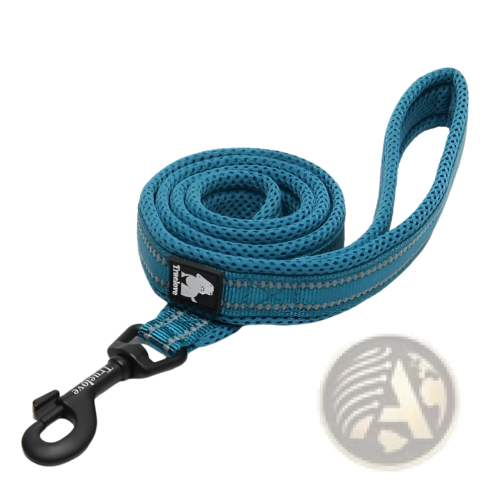 Teal braided nylon dog leash with reflective stripes and black metal clasp for enhanced visibility and durability