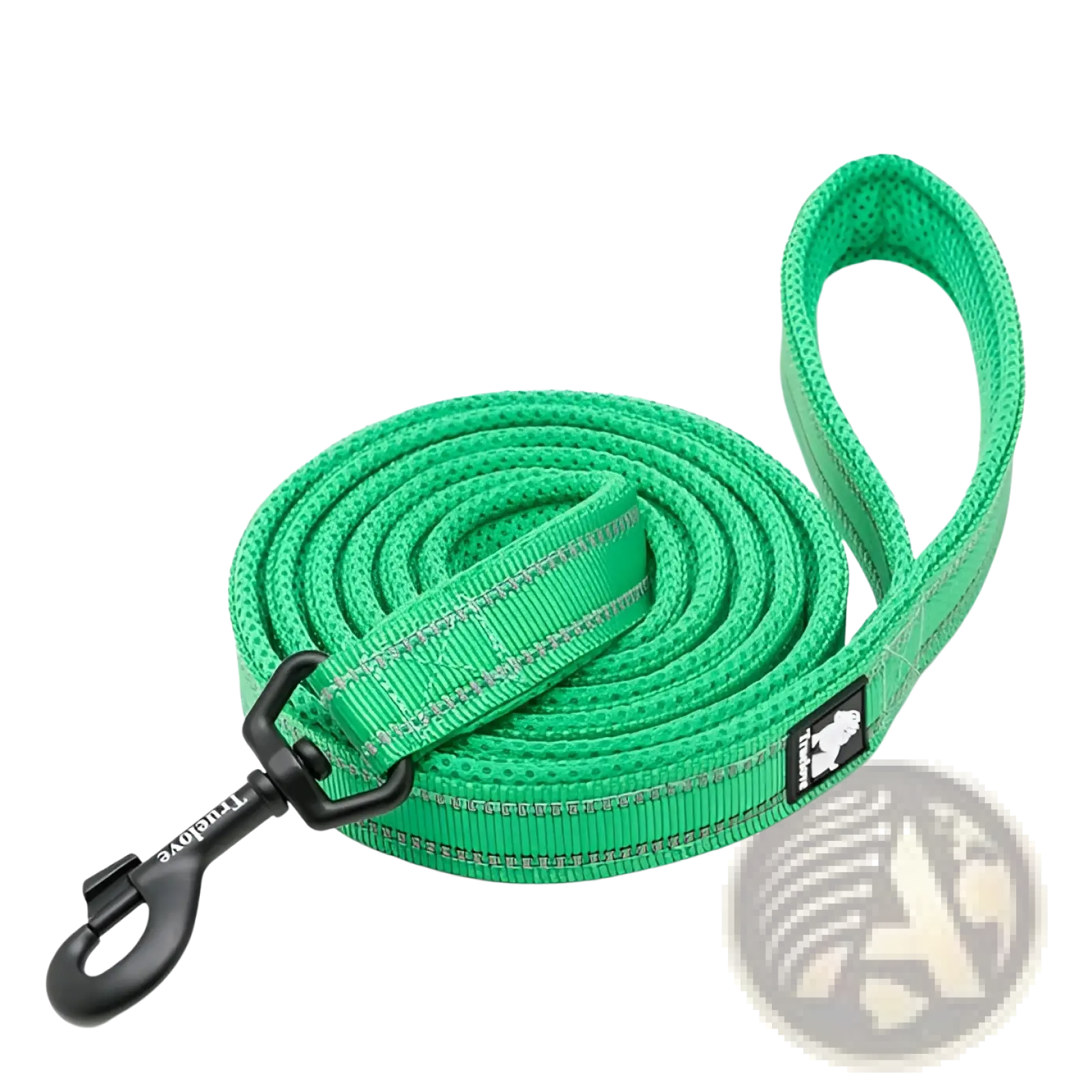 Reflective braided nylon dog leash in bright green with silver stripes and black metal clasp for durable walking