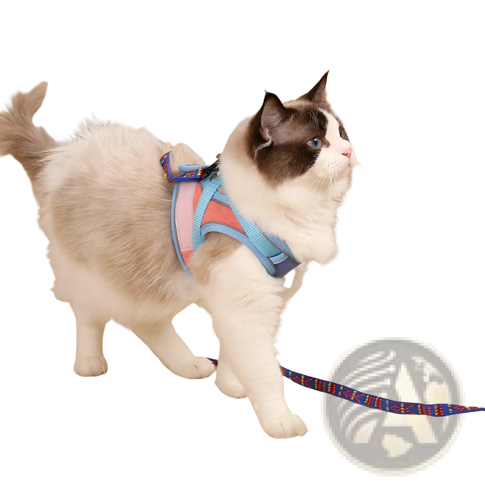 Reflective cat harness and leash set with adjustable blue and pink patterned straps designed to be escape proof