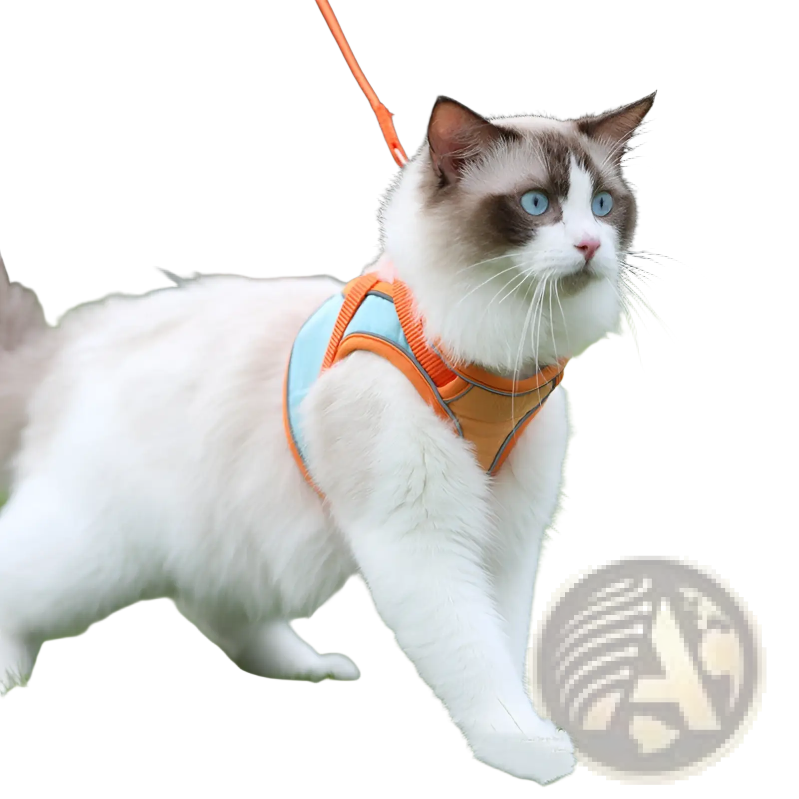 Reflective cat harness and leash set in orange and light blue with adjustable straps designed for escape proof use