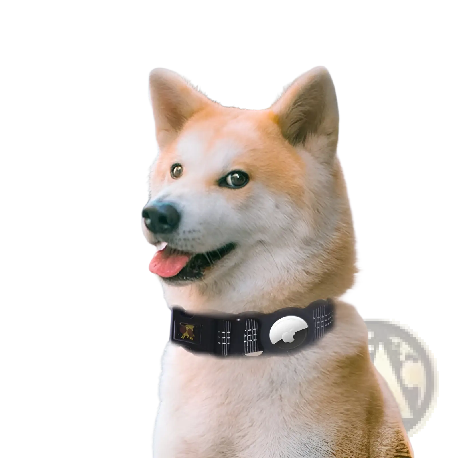 Black reflective gps dog collar with silver-toned buckle and nylon tracker holder featuring subtle patterned design