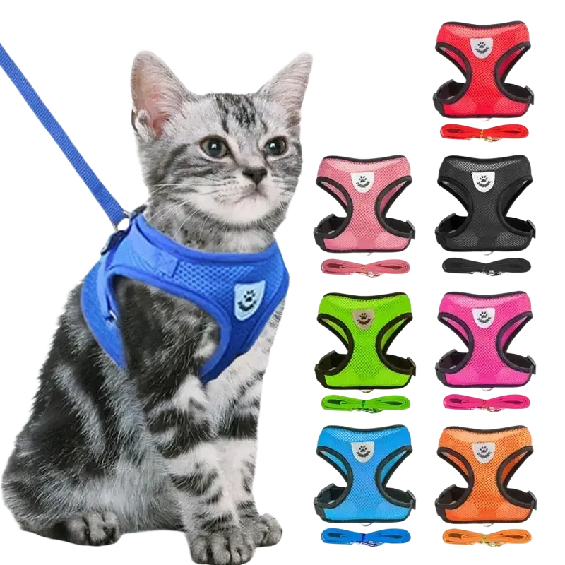 Blue reflective mesh cat harness with matching leash designed for adjustable chest circumference and safe outdoor use